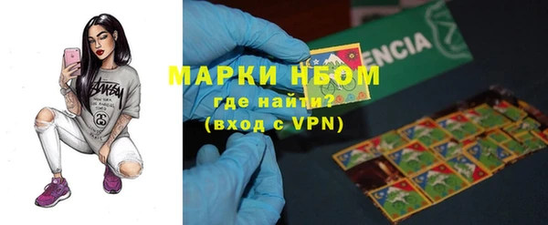 стафф Арсеньев