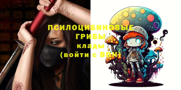 спайс Аркадак