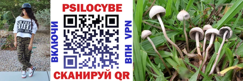 Галлюциногенные грибы Psilocybine cubensis  мега как войти  Поронайск 